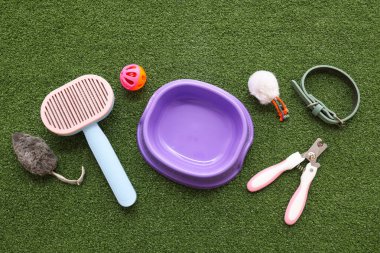 Yemek kasesi ve yeşil çimenlikte farklı hayvan aksesuarları.