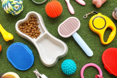 Kemik şeklinde yemek kasesi ve yeşil çimenlerin üzerinde farklı hayvan aksesuarları.