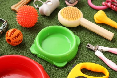 Gıda kaseleri ve yeşil çimlerde farklı hayvan aksesuarları.