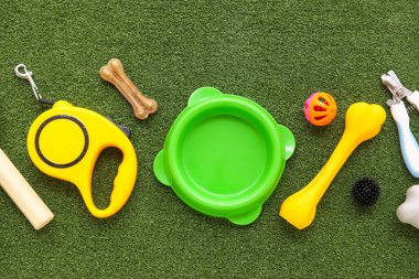 Yemek kasesi ve yeşil çimenlikte farklı hayvan aksesuarları.