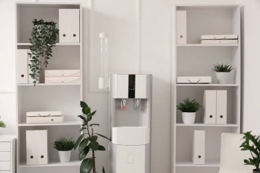 Ofiste klasörleri, çiçekleri ve su soğutuculu raflar