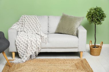 Yeşil duvarın yanında konforlu gri kanepe ve saksı