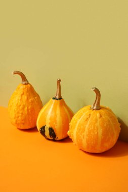 Renkli arkaplanda taze balkabakları