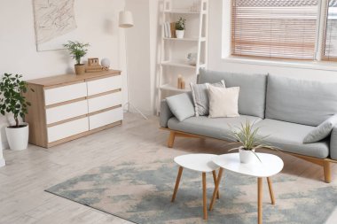 Ahşap çekmeceleri ve rahat kanepesi olan modern aydınlık oturma odasının içinde.