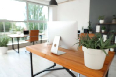 Bilgisayarlı ve bitkili işyerinin bulanık görünümü