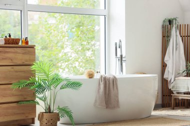 Banyonun içinde küvet ve palmiye ağacı var.