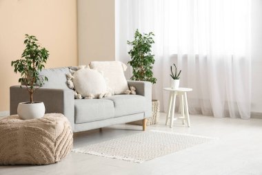 Gri kanepe, puf ve çiçekleri oturma odasının iç tarafındaki pencereye yakın.