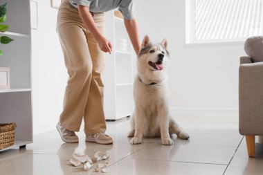 Evde kırık vazo için köpeğini azarlayan bir kadın.
