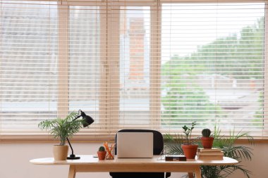 Ofisteki pencerenin yanında dizüstü bilgisayarı ve bitkileri olan işyeri