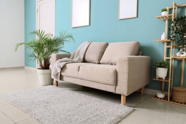 Rahat bir kanepe, raf ünitesi ve oturma odasının iç tarafındaki bitkiler, yakın çekim.