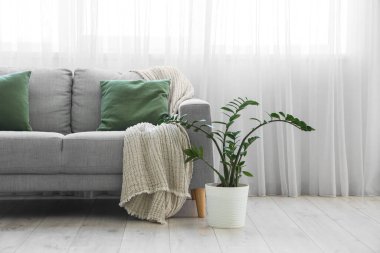 Oturma odasının iç tarafındaki ışık perdesinin yanında bitkisi olan gri kanepe.