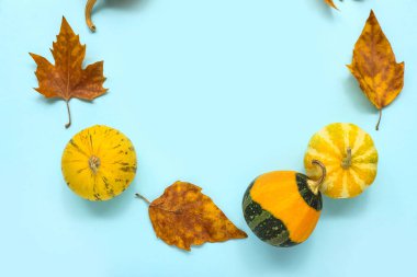 Mavi arkaplanda balkabağı ve yapraklardan yapılmış çerçeve