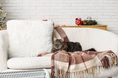 Evdeki elektrikli ısıtıcının yanında sıcak battaniyeli şirin kedi oturuyor.