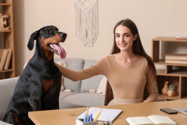 Sevimli Doberman köpeği ve güzel, mutlu, genç bir kadın iş yerinde defterleri başında oturuyor.