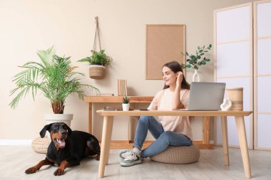 Şirin Doberman köpeği ve iş yerinde dizüstü bilgisayarı olan güzel, genç ve mutlu bir kadın.