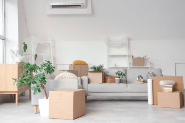 Gri kanepeli karton kutular, taşınma gününde oturma odasında raf üniteleri ve bitkiler.