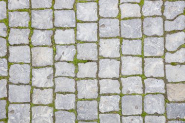 Yeşil yosunlu asfalt yol dokusu, üst manzara