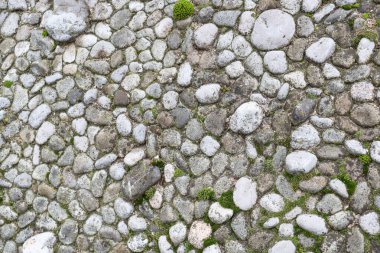 Arkaplan olarak yosun içeren taşların dokusu, yakın plan