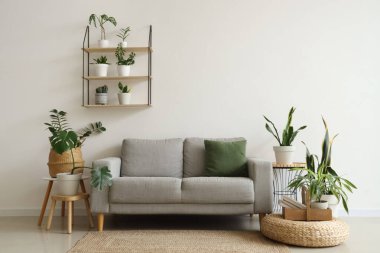 Yeşil çiçekli, raflı ve kanepeli bir oturma odası.