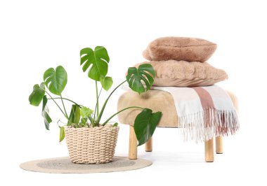 Beyaz arka planda yastıklı, ekose ve palmiye bitkisi