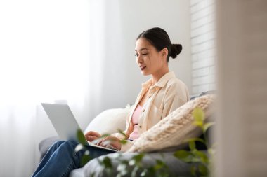 Genç Asyalı kadın evdeki ışık perdelerinin yanındaki kanepede dizüstü bilgisayar kullanıyor.