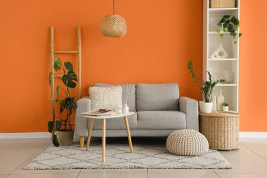 Koltuğu, merdiveni ve raf ünitesi olan şık bir oturma odası.