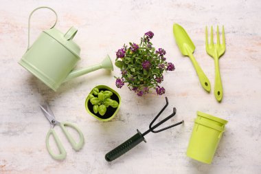 Bej grunge arka planda fidanlı saksılar, çiçekler ve bahçe aletleri