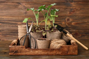 Ahşap arka planda fidanlı saksılar ve bahçe aletleri.