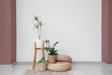 Hasır puflar ve bitkiler odanın iç tarafındaki beyaz duvarın yanında.