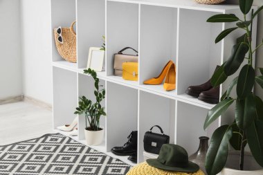 Koridorda kadın ayakkabısı, aksesuar ve bitki rafları var.