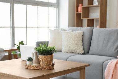 Konforlu kanepesi, çiçekleri ve kahve masası olan modern bir oturma odası.