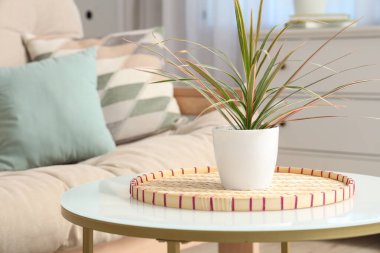 Oturma odasında çiçekli kahve masası.