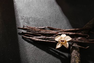 Kurumuş vanilyalı dal ve siyah grunge arka planda çiçek.