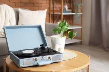 Plak çalar ve bitki oturma odasındaki masada.