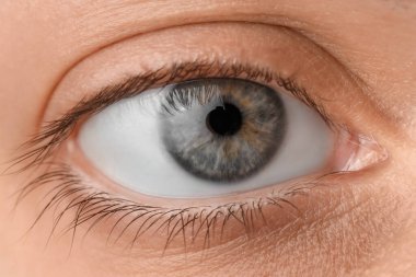 Gri-mavi gözlü genç kadın, yakın plan.