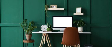 İş yeri, raflar ve ev bitkileriyle birlikte ofis içi