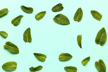 Renkli arkaplanda taze nane yapraklarından yapılmış çerçeve