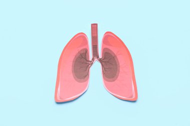 Mavi arka planda kağıt ciğerler