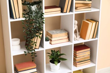 Kitaplı modern raf ünitesi ve bej duvarın yanında ev dekorasyonu, yakın plan.