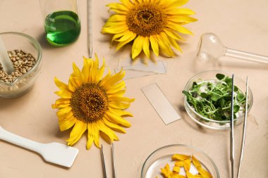 Profesyonel laboratuvar, desenli bej arka planda, petri kabında numune, ayçiçeği, lahanalar ve tohumlarla dolu.