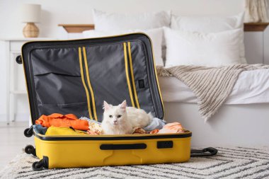 Açık bavulda sevimli beyaz kedi ve evde yerde giysiler.