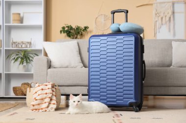 Güzel beyaz kedi, bavulunu toplamış ve oturma odasında yere yastık koymuş.