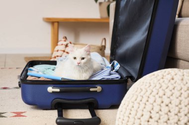 Evdeki eşyalarla dolu açık bavulda sevimli beyaz kedi.