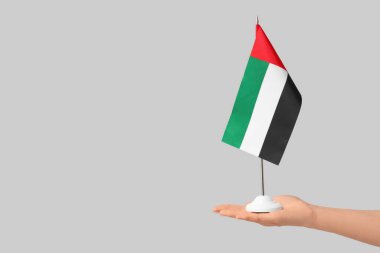Hafif arkaplanda BAE bayrağı olan bir kadın eli