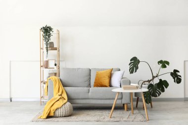 Raf üniteli rahat bir kanepe, sehpa ve oturma odasındaki beyaz duvarın yanında bitkiler.