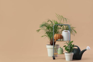 Bej arka planda bitkiler, balkabağı ve bahçe malzemeleriyle durun.