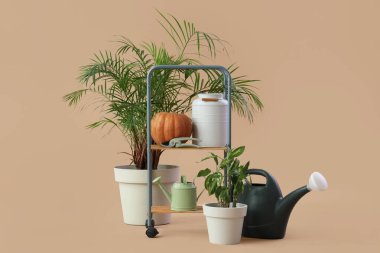 Bej arka planda bitkiler, balkabağı ve bahçe malzemeleriyle durun.