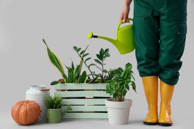 Sulama kabı ve beyaz arka planda bitkileri olan genç bir kadın bahçıvan.