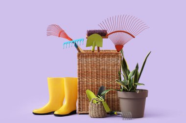 Bitkilerle dolu bir sepet ve leylak arka planda bahçe malzemeleri.