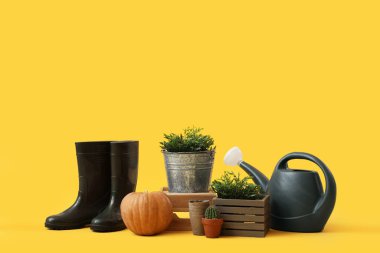 Sarı arka planda balkabaklı bitkiler ve bahçe malzemeleri.